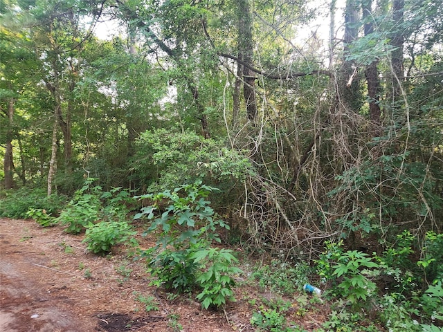 LOT15 Weeping Willow Ln, Plantersville, TX 77363