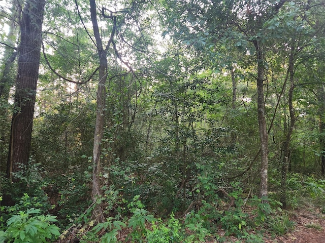 LOT15 Weeping Willow Ln, Plantersville, TX 77363