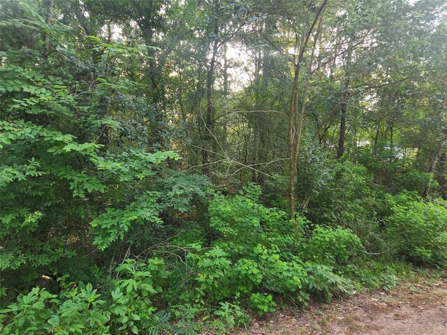 LOT15 Weeping Willow Ln, Plantersville, TX 77363