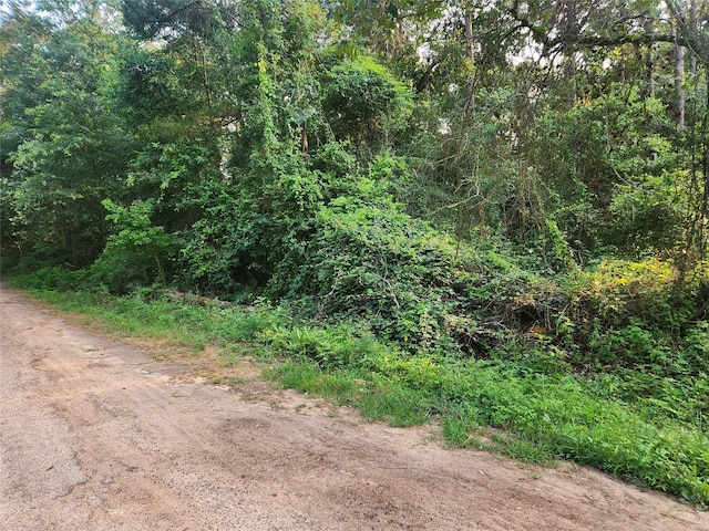 LOT15 Weeping Willow Ln, Plantersville, TX 77363