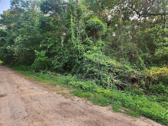 LOT15 Weeping Willow Ln, Plantersville, TX 77363