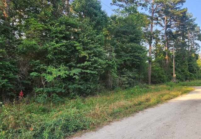 LOT15 Weeping Willow Ln, Plantersville, TX 77363