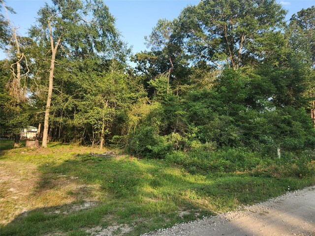 LOT15 Weeping Willow Ln, Plantersville, TX 77363