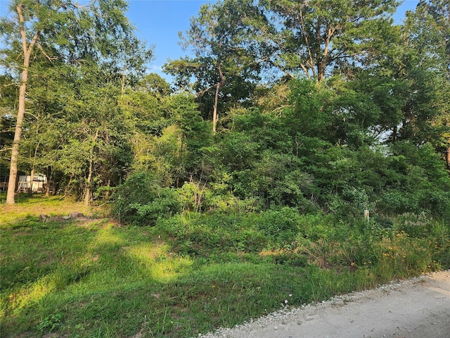 LOT15 Weeping Willow Ln, Plantersville, TX 77363