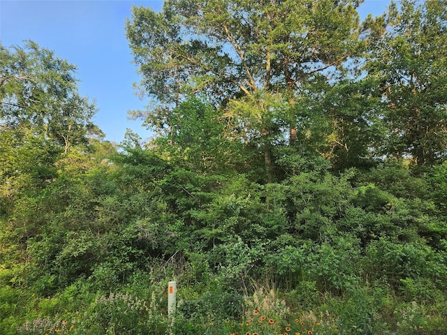 LOT15 Weeping Willow Ln, Plantersville, TX 77363