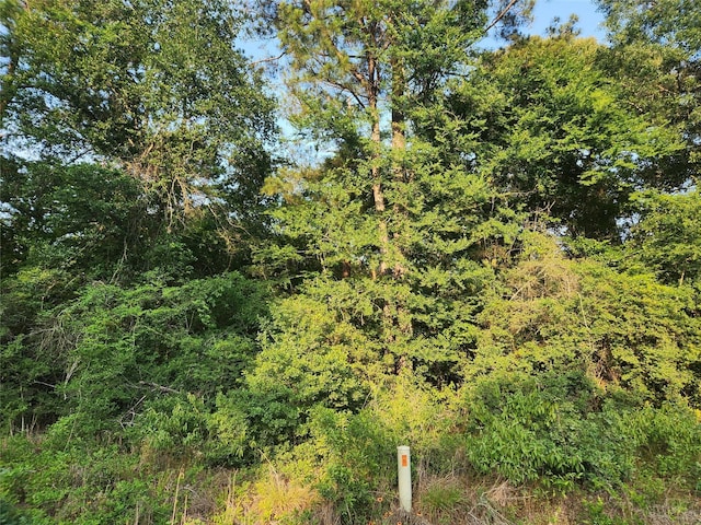 LOT15 Weeping Willow Ln, Plantersville, TX 77363