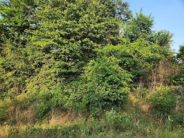LOT15 Weeping Willow Ln, Plantersville, TX 77363