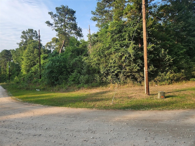 LOT15 Weeping Willow Ln, Plantersville, TX 77363