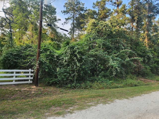 LOT15 Weeping Willow Ln, Plantersville, TX 77363