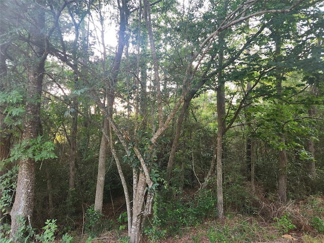 LOT15 Weeping Willow Ln, Plantersville, TX 77363