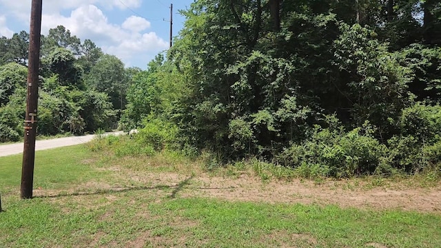 LOT15 Weeping Willow Ln, Plantersville, TX 77363