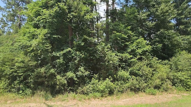LOT15 Weeping Willow Ln, Plantersville, TX 77363