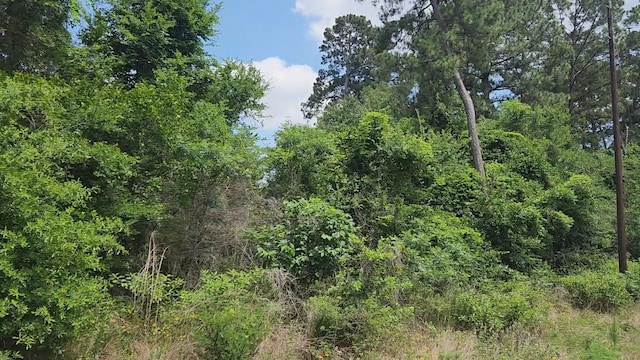 LOT15 Weeping Willow Ln, Plantersville, TX 77363