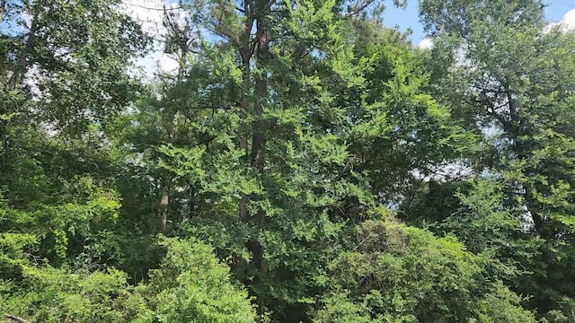 LOT15 Weeping Willow Ln, Plantersville, TX 77363