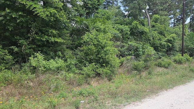 LOT15 Weeping Willow Ln, Plantersville, TX 77363