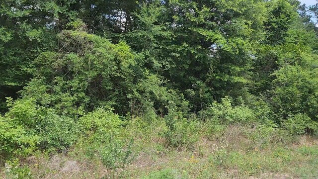 LOT15 Weeping Willow Ln, Plantersville, TX 77363