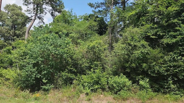 LOT15 Weeping Willow Ln, Plantersville, TX 77363