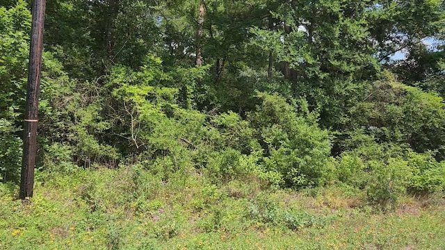 LOT15 Weeping Willow Ln, Plantersville, TX 77363