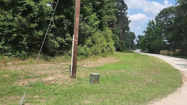 LOT15 Weeping Willow Ln, Plantersville, TX 77363