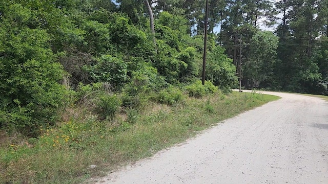 LOT15 Weeping Willow Ln, Plantersville, TX 77363