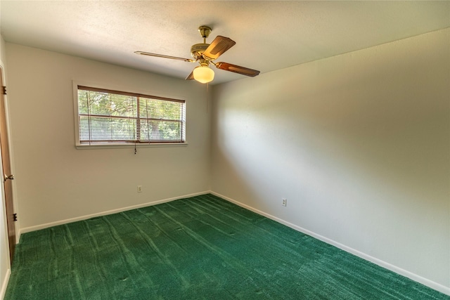 117 Dogwood Trl, Bellville, TX 77418 - photo 7