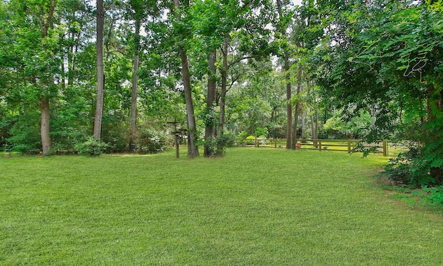 22402 Timber Ridge Dr, Magnolia, TX 77355 - view of yard