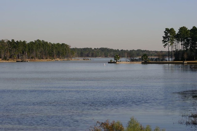 22402 Timber Ridge Dr, Magnolia, TX 77355 - water view featuring a forest
