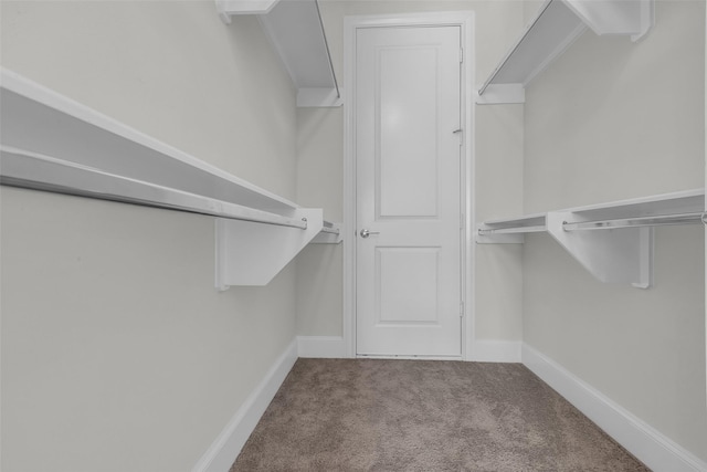 809 Bringhurst St, Houston, TX 77020 - photo 39