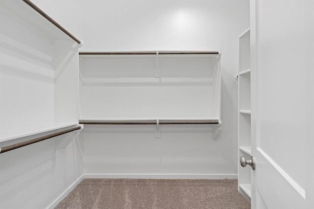 119 Lukewood Cir, Conroe, TX 77318 - spacious closet featuring carpet flooring