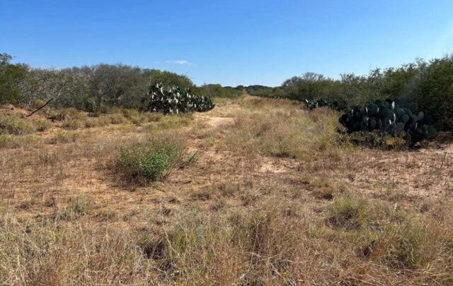 0 N Mesquite St, Pearsall, TX 78061