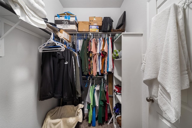 2715 Wembley Way, Rosenberg, TX 77471 - walk in closet featuring carpet