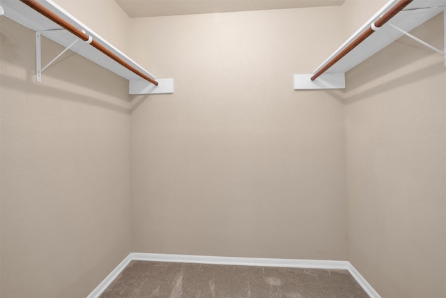 6912 Williams Dr, Galveston, TX 77551 - photo 20