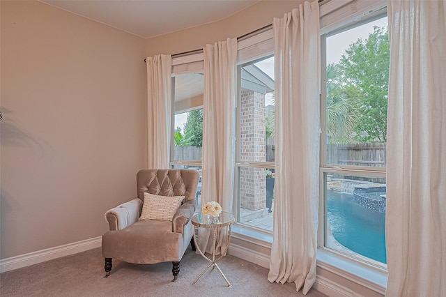 27923 Coulter Dr, Spring, TX 77386 - sitting room with carpet