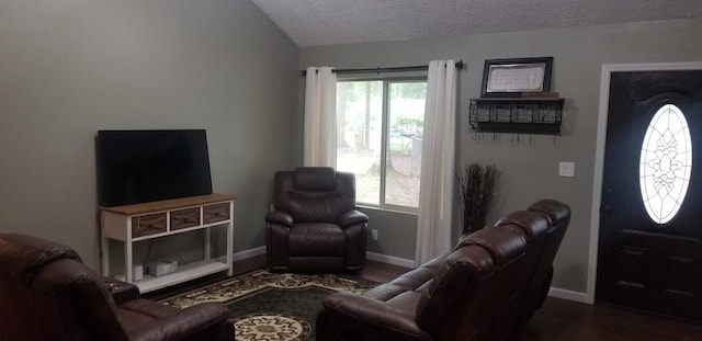 27491 Lantern Ln, New Caney, TX 77357 - living room with a textured ceiling, wood finished floors, and lofted ceiling
