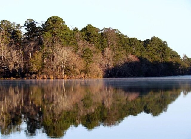 TBD Lonestar Rd, Huntsville, TX 77340