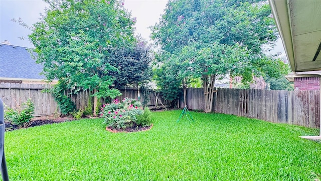 25023 Ivy Trace Ln, Katy, TX 77494 - view of yard