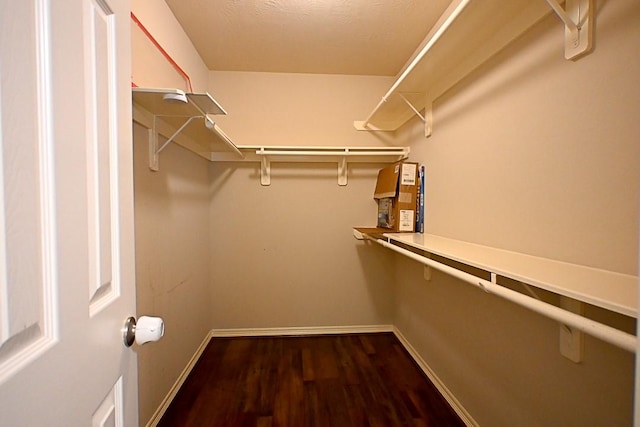 8239 Polaris Point Ln, Cypress, TX 77433 - walk in closet with wood finished floors