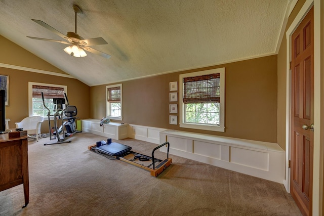 1026 Atchison St, Sealy, TX 77474 - exercise area with a textured ceiling, light colored carpet, lofted ceiling, a ceiling fan, and wainscoting