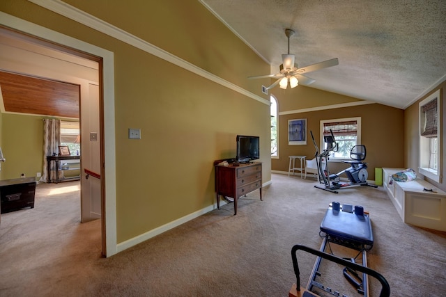 1026 Atchison St, Sealy, TX 77474 - living room featuring carpet, ceiling fan, vaulted ceiling, crown molding, and a textured ceiling