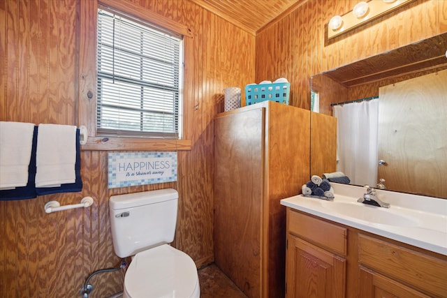 115 N River Place Rd, Rio Frio, TX 78879 - full bath with vanity, toilet, and wooden walls