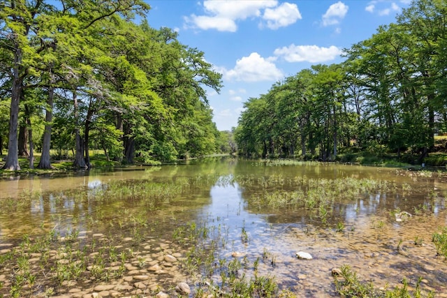 115 N River Place Rd, Rio Frio, TX 78879 - water view with a forest