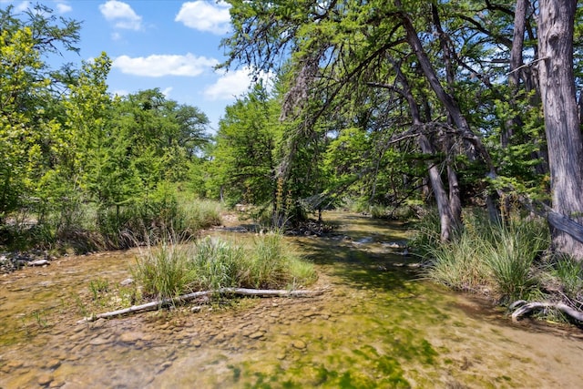 115 N River Place Rd, Rio Frio, TX 78879 - view of yard