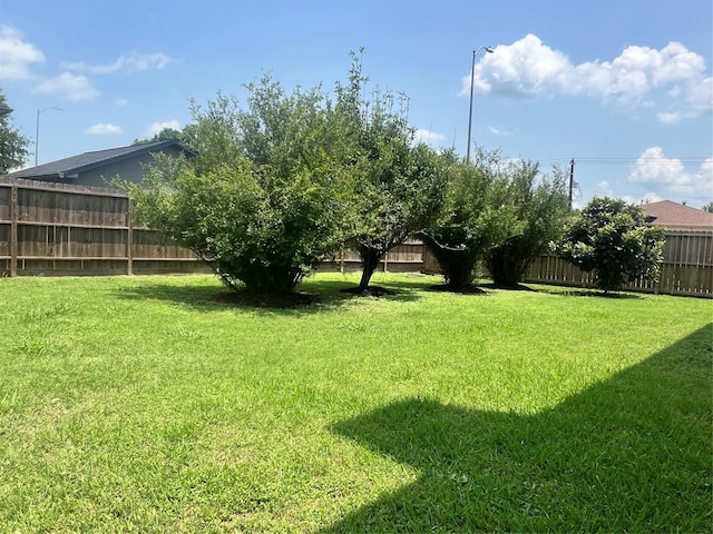 16219 Purpleridge Ct, Houston, TX 77053 - view of yard