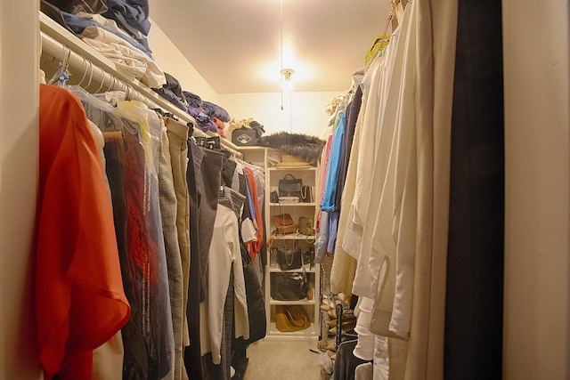 907 Davis Rd, League City, TX 77573 - walk in closet featuring carpet
