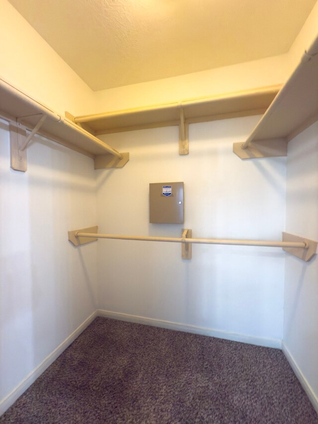 5227 Brinkman Ct, Houston, TX 77091 - walk in closet with carpet