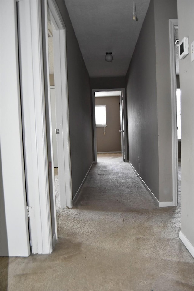 18318 Ella Blvd, Spring, TX 77388 - hallway with carpet flooring and baseboards