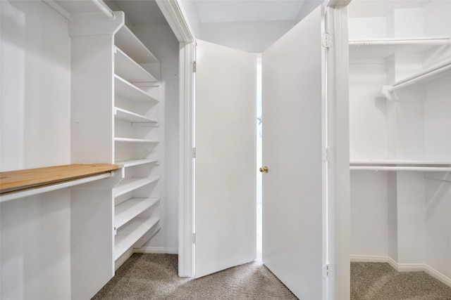 1726 Havelock Dr, Spring, TX 77386 - spacious closet featuring carpet floors