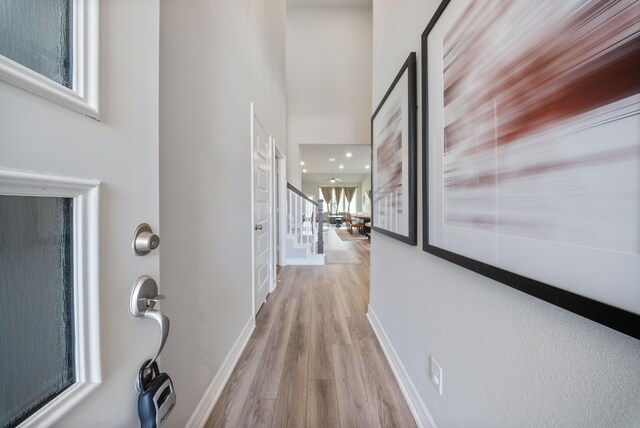 29023 Laurel Grove Ln, Fulshear, TX 77441 - corridor featuring light wood finished floors and baseboards