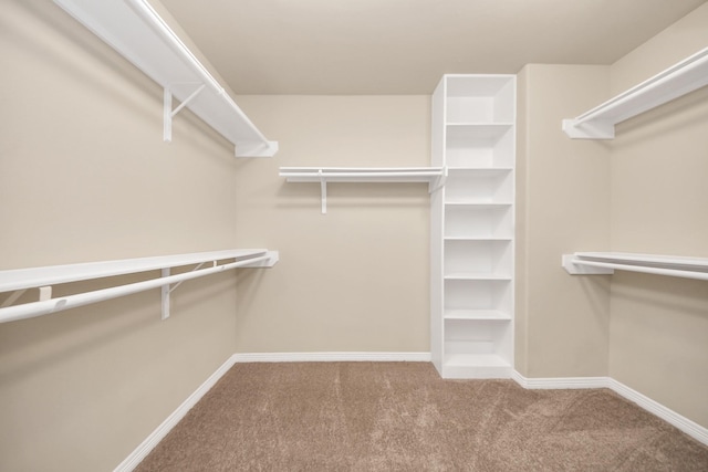 5627 Darling, Houston, TX 77007 - spacious closet with carpet floors