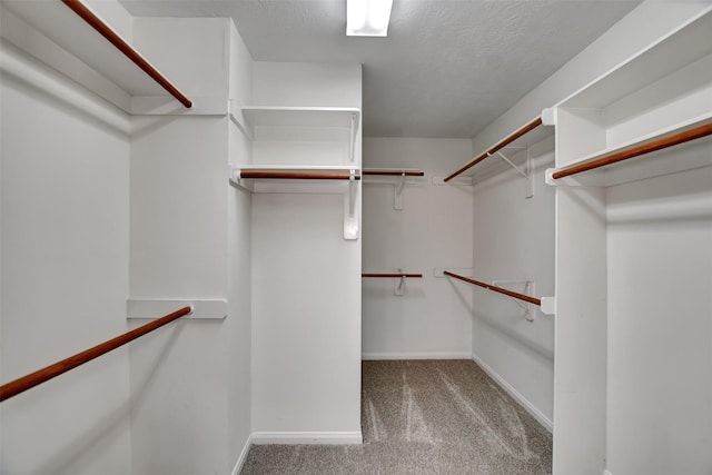 7818 Desert Canyon Ct, Houston, TX 77041 - spacious closet with carpet floors